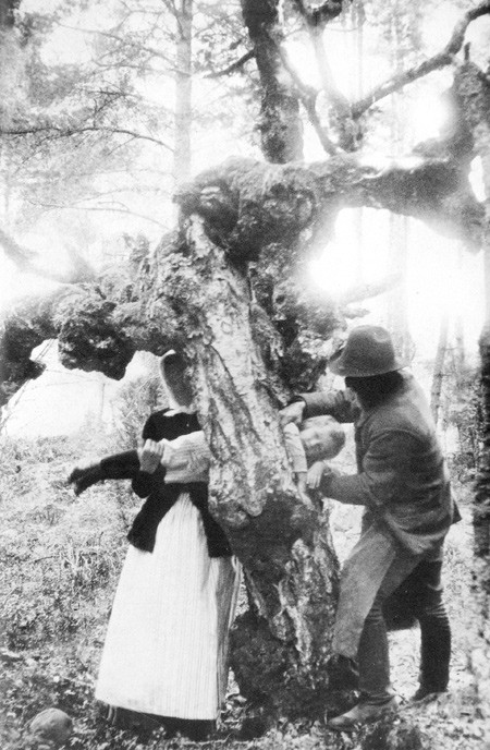 Figure 2  Shoving was one of several methods used to cure epilepsy. Here a child is pulled through a hole in a tree, photo&hellip;