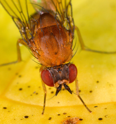 Illustrasjonsfoto: Sciencephoto/NTB scanpix