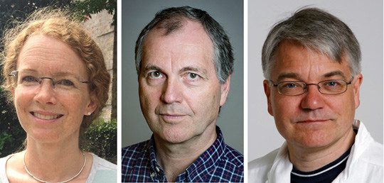 De tre norske forskerne bak studien. Fra venstre Mette C. Toll&aring;nes (foto: Frank Toll&aring;nes), Rolv Terje Lie (foto: Eivind&hellip;