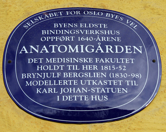 Illustrasjon. Foto Lise B. Johannessen