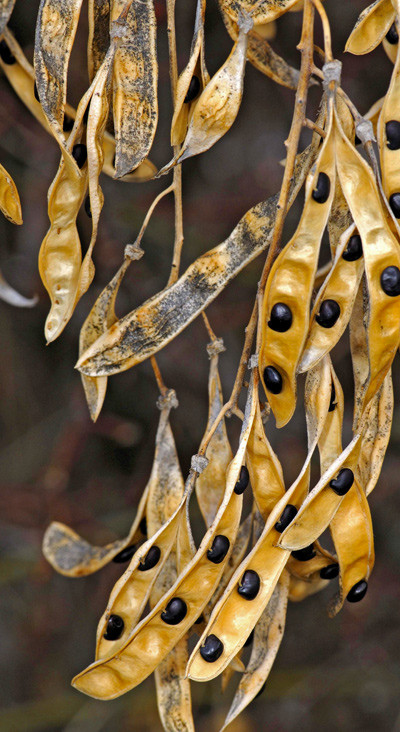 Illustrasjonsfoto: Rafael Campillo/NTB scanpix