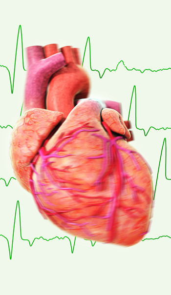 Illustrasjonsfoto: Science Photo Library