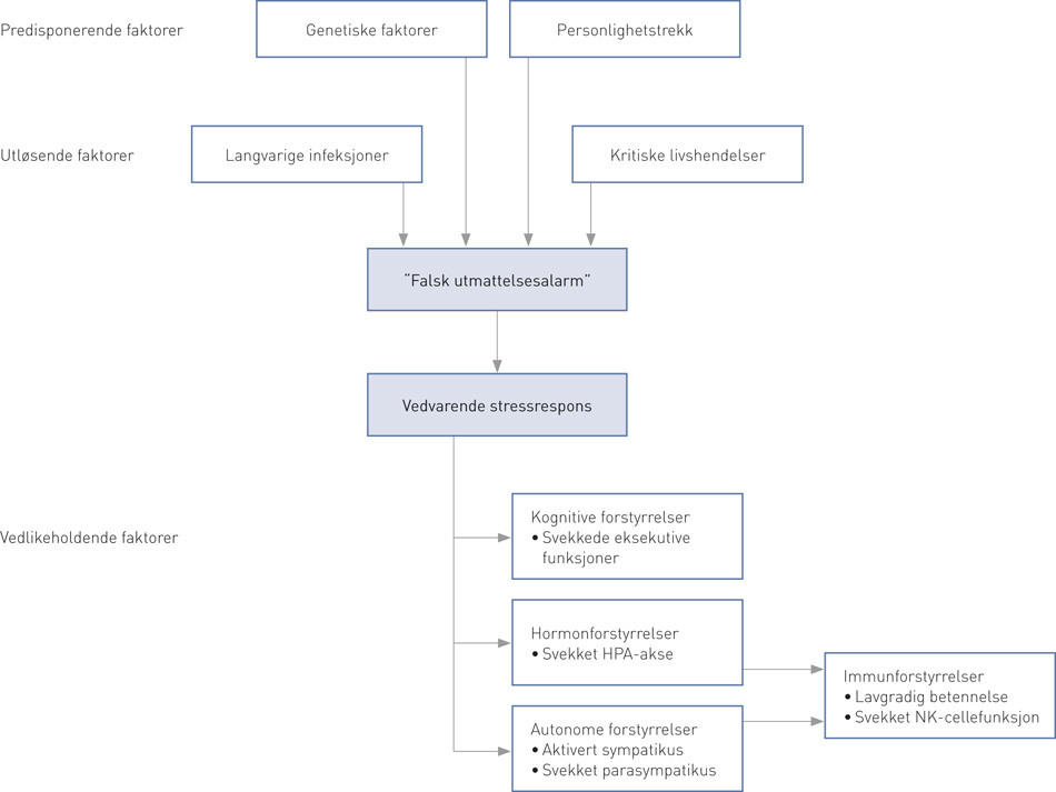Figur 1  Modell av sykdomsmekanismer ved kronisk utmattelsessyndrom/myalgisk encefalopati (CFS/ME)