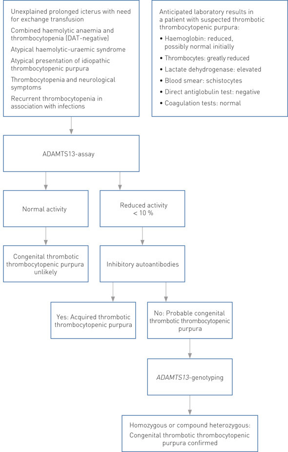 Figure 2  Conditions that should prompt assessment for thrombotic thrombocytopenic purpura, and an algorithm for use in the&hellip;