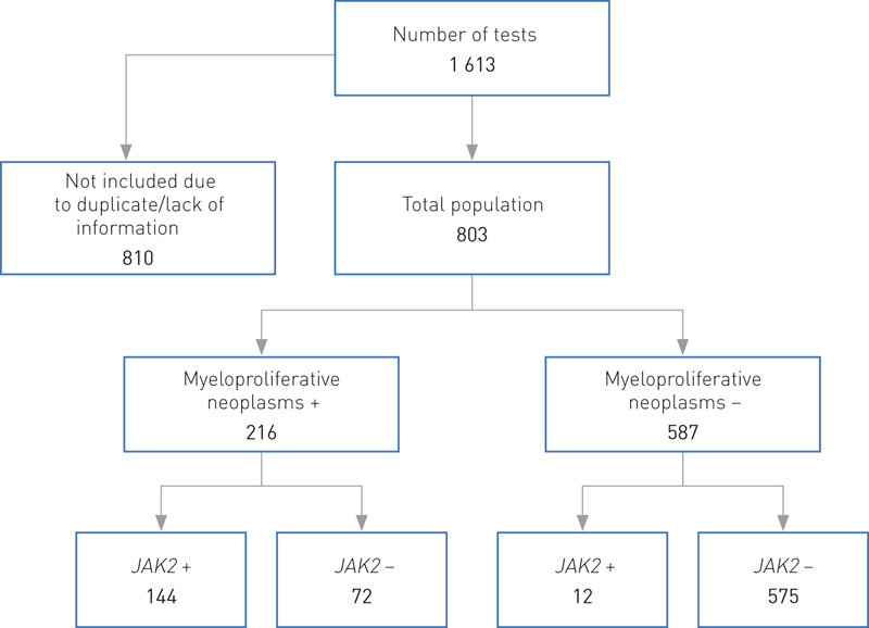Figure 2  Overview of patient population, positive/negative status for myeloproliferative neoplasms and JAK2-mutation