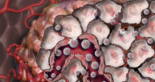 Illustrasjonsfoto: Science Photo Library