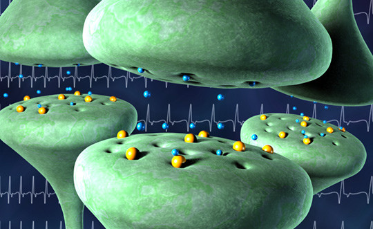 Virkning av betablokker p&aring; nervesynapser. Illustrasjon: Science Photo Library