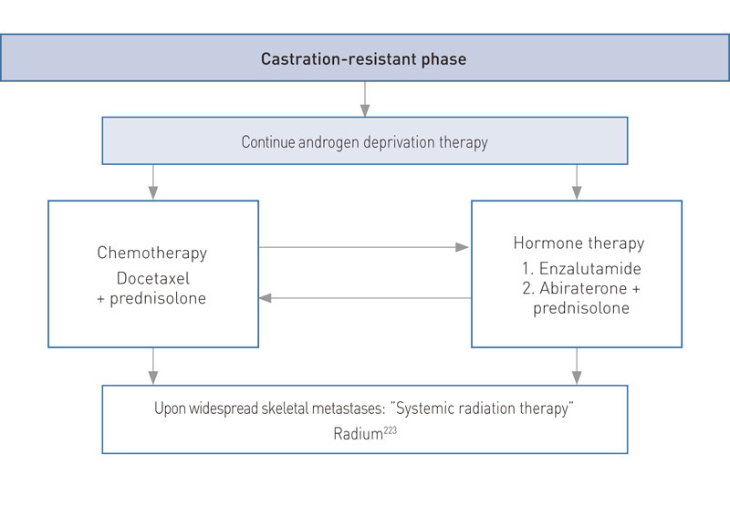 Figure 2 Our proposed treatment algorithm for castration-resistant metastatic prostate cancer. When the patient becomes&hellip;