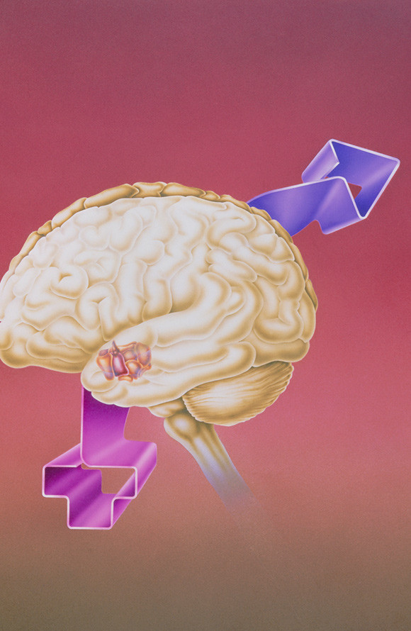 Illustrasjon: Science Photo Library