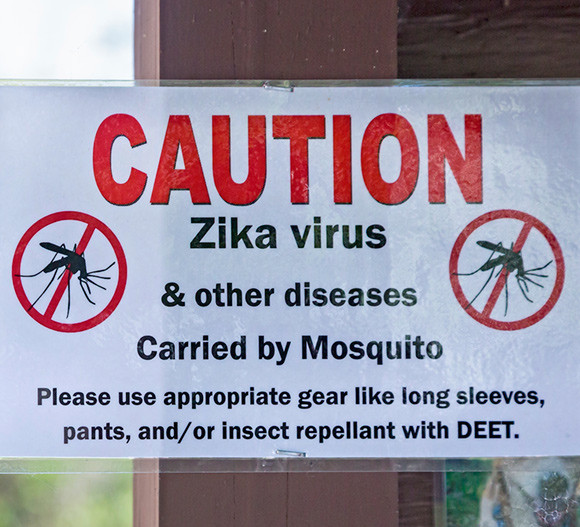 Advarsel om zikavirus. Foto: Science Photo Library