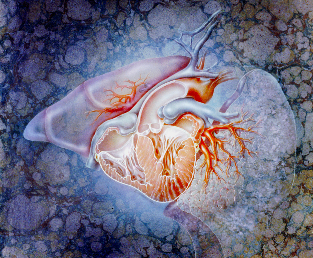 Foto: Science Photo Library