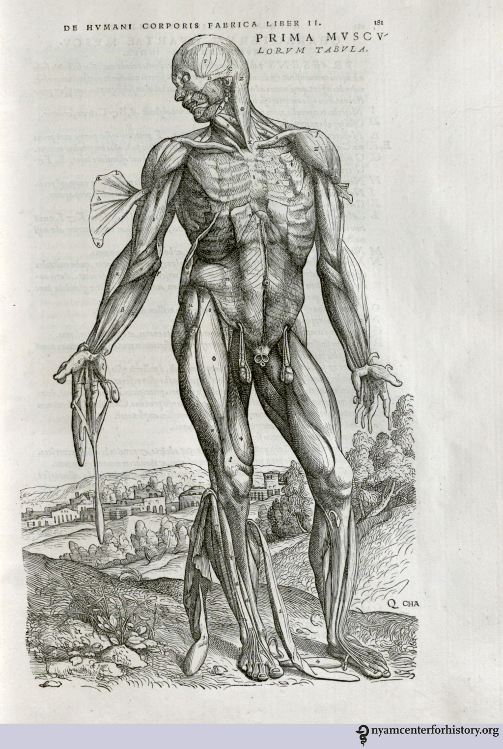 Anatomen Andreas Vesalius&acute; (1514&thinsp;&ndash;&thinsp;64) verk De humani corporis fabrica (Om oppbyggingen av den menneskelige kroppen) er et&hellip;
