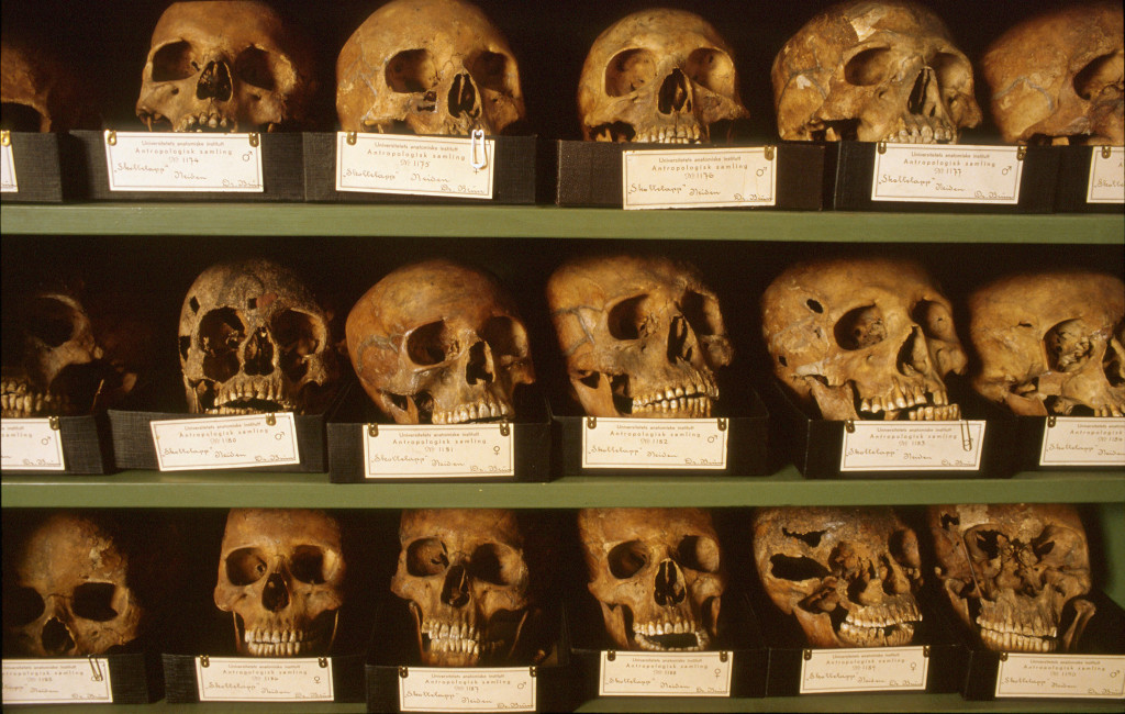 One of the largest anthropological archives in Europe is De Schreinerske Samlinger, named after Kristian Emil Schreiner &hellip;