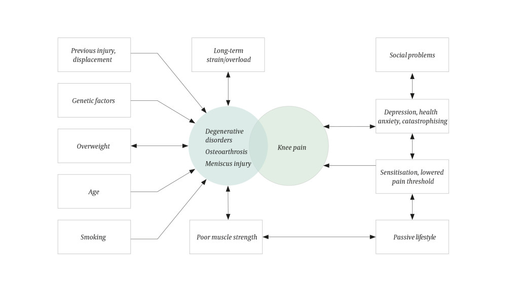 Figure 1 Schematic overview of precipitating and perpetuating factors in atraumatic knee pain with and without degenerative&hellip;
