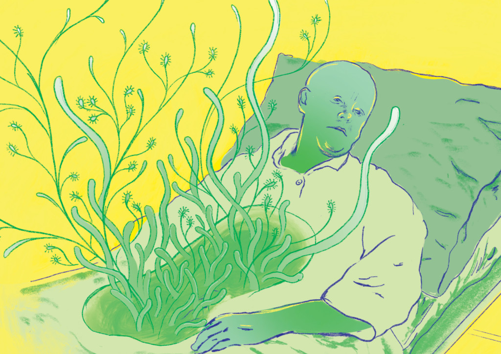 Illustrasjon: Sylvia St&oslash;lan