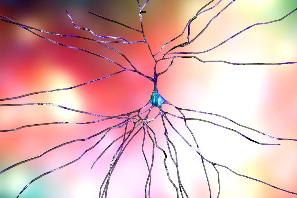 Nerveceller. Illustrasjonsfoto: Science Photo Library/NTB Scanpix
