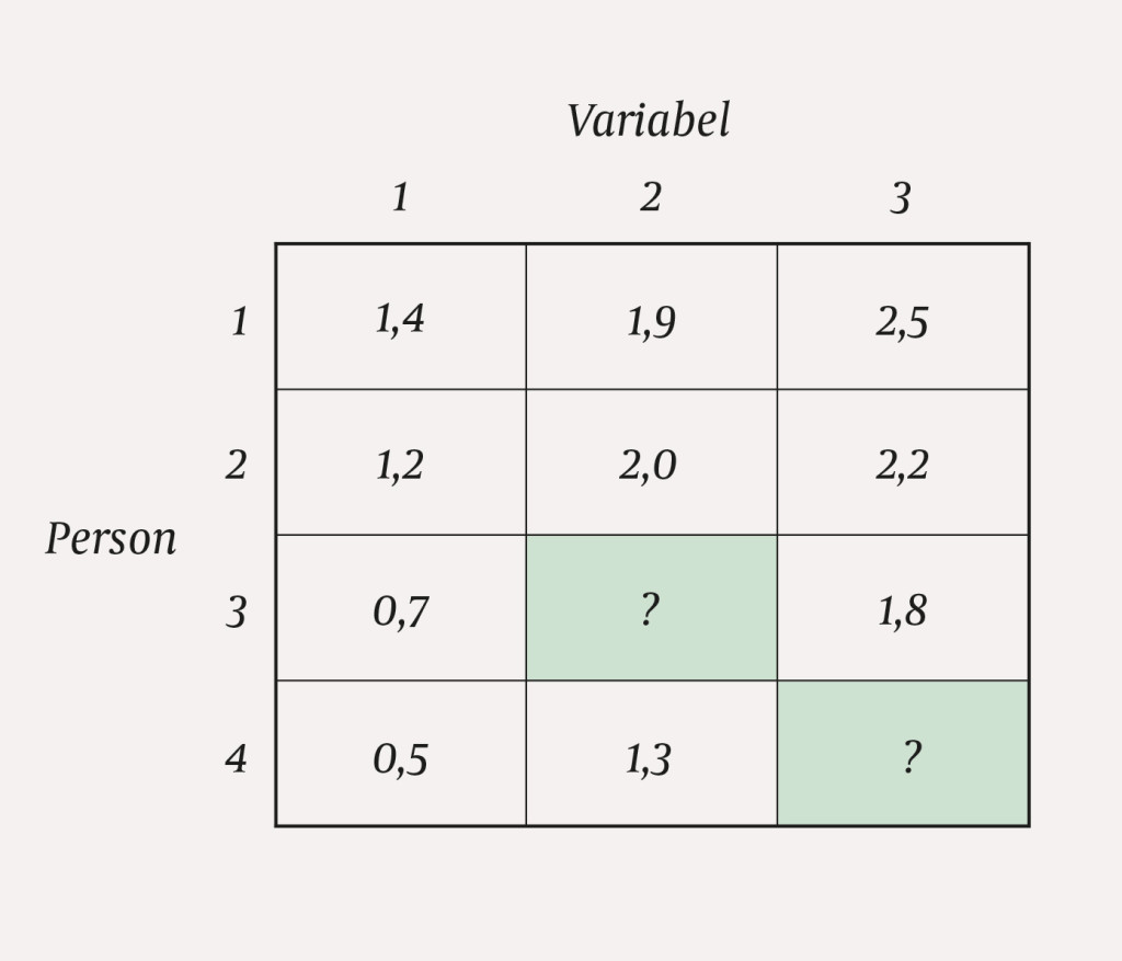 Figur 1 Eksempel p&aring; datamatrise med manglende data.