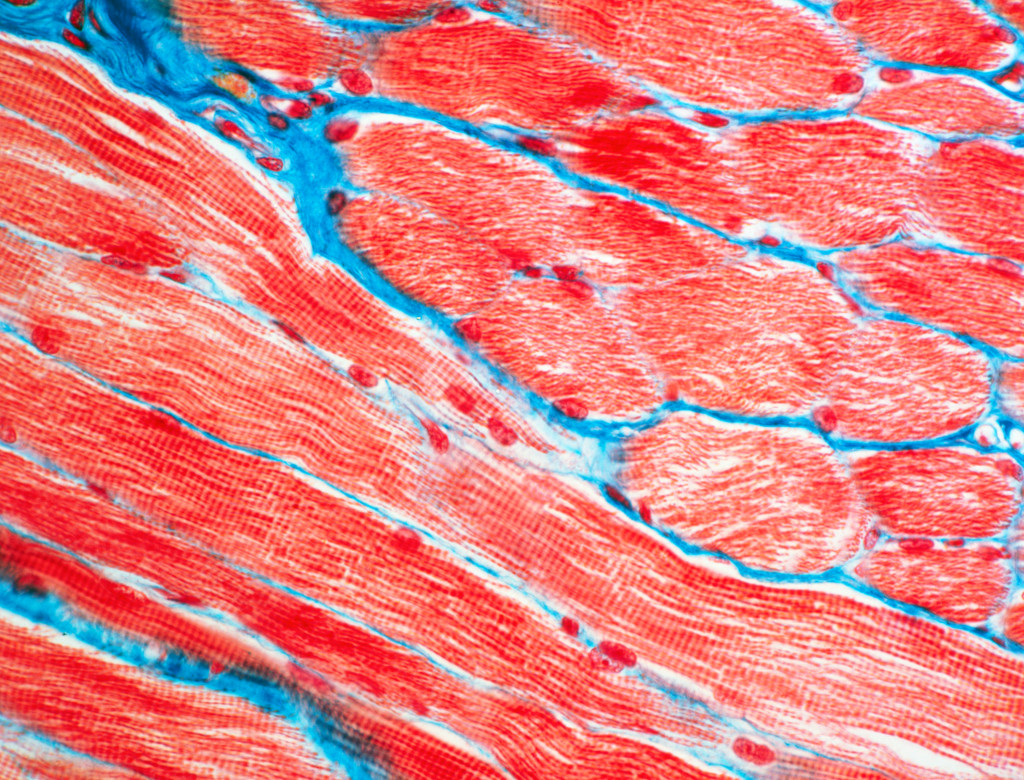 Illustrasjonsfoto: Science Photo Library / NTB Scanpix