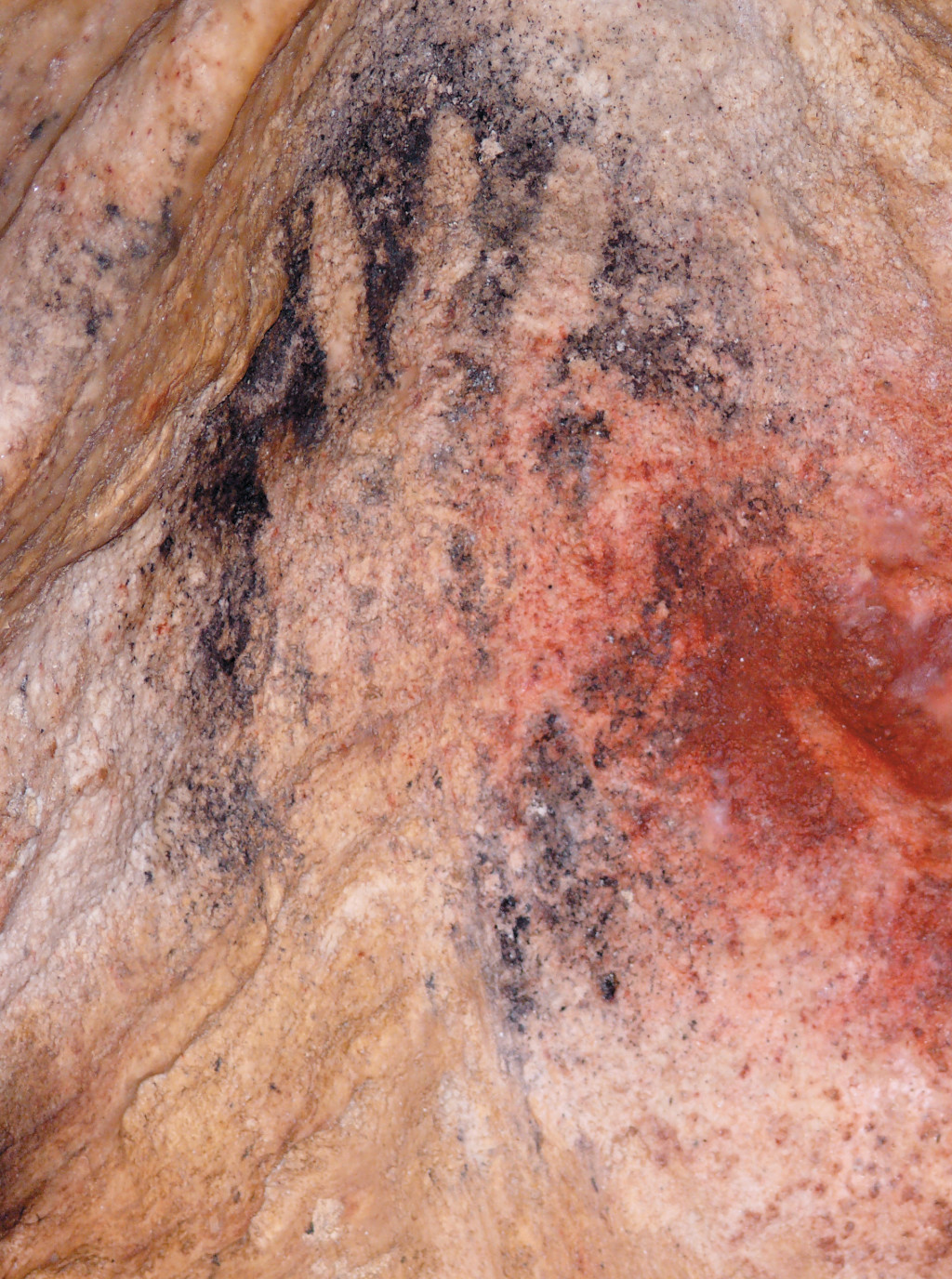 Figur 2 H&aring;ndavtrykk fra Gargashulen, med manglende lillefinger. Foto: Yoan Rumeau / Wikimedia Commons.