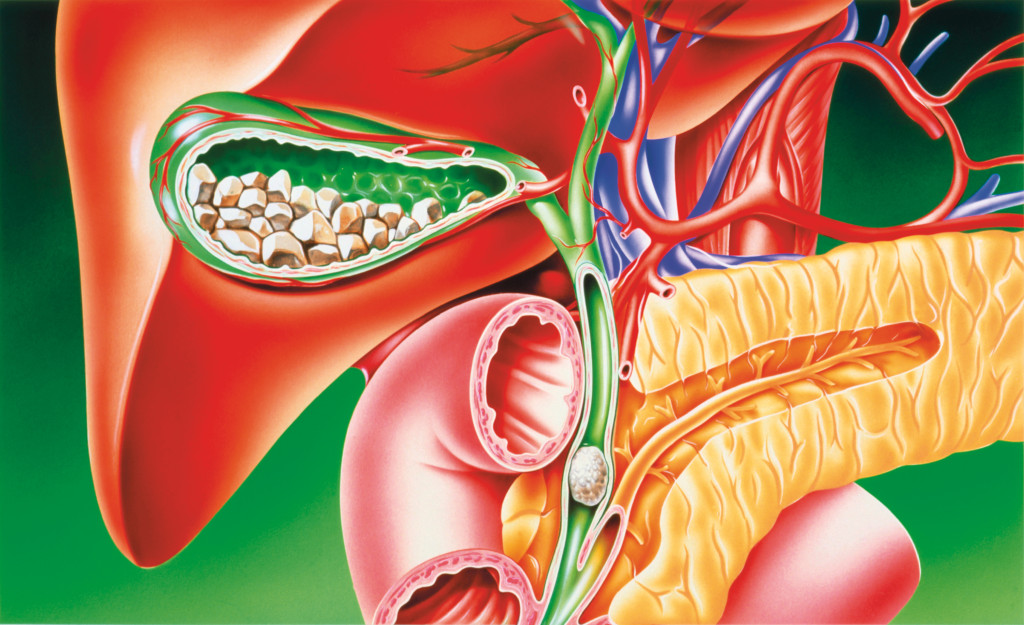 Illustrasjon: Science photo library / NTB Scanpix