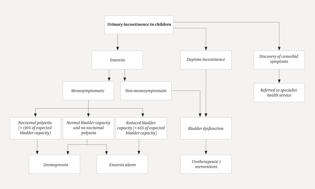 Figure 1 Treatment of urinary incontinence in children (6&ndash;8).