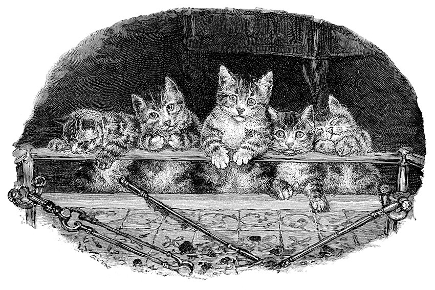 Illustrasjon: benoitb/iStock