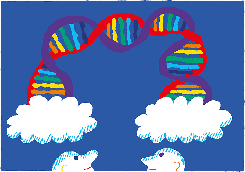 Illustrasjon: Espen Friberg