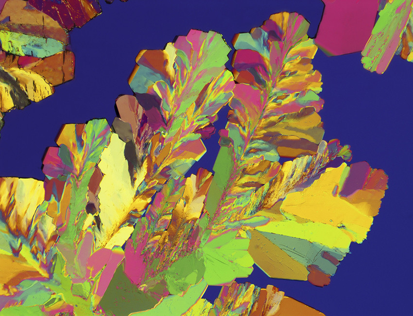 17-&beta;-&oslash;stradiol (&times; 50 forst&oslash;rrelse). Illustrasjon: Alfred Pasieka / Science Photo Library, NTB.