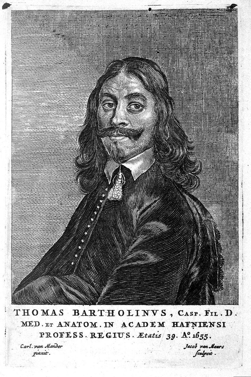 Thomas Bartholin. Illustrasjon:&nbsp;PBM / Wellcome Collection