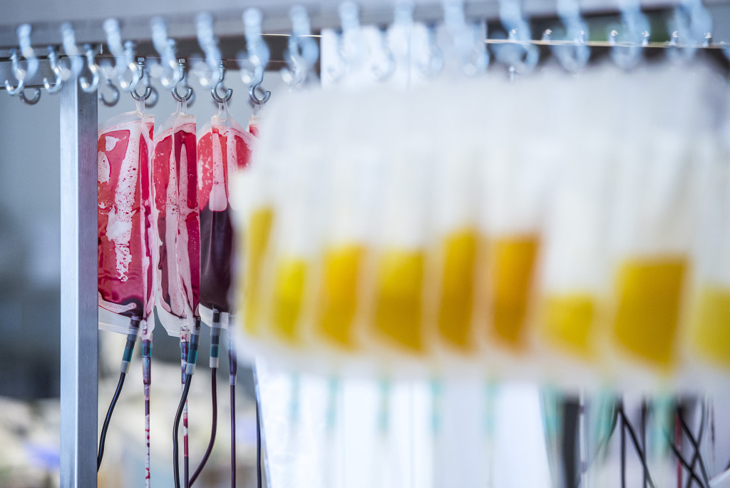 Photo: Marcus Ericsson / NTB