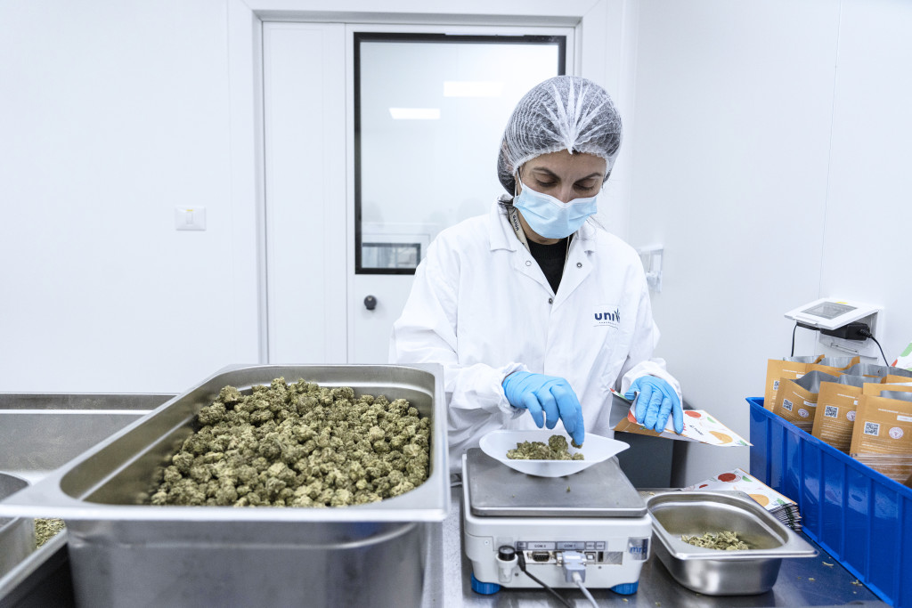 Packaging of medical cannabis at UNIVO Pharmaceuticals, Israel 2022. Photo: Tsafrir Abayov, AP/NTB