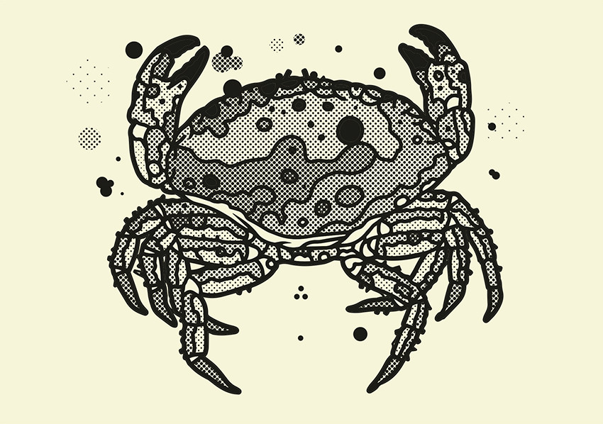 Illustrasjon: B&oslash;rge Bredenbekk / byHands