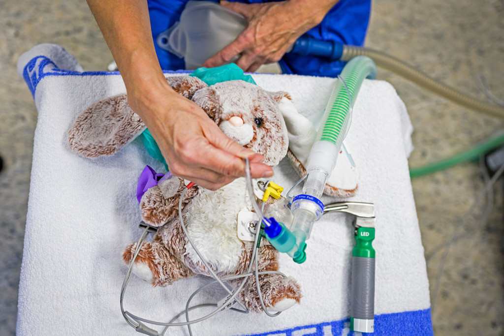 Sykehuskaninen Kalle f&aring;r p&aring; seg overv&aring;kningsutstyr og f&aring;r tilf&oslash;rt oksygen og medisiner. Han blir brukt til &aring; forklare barna&hellip;