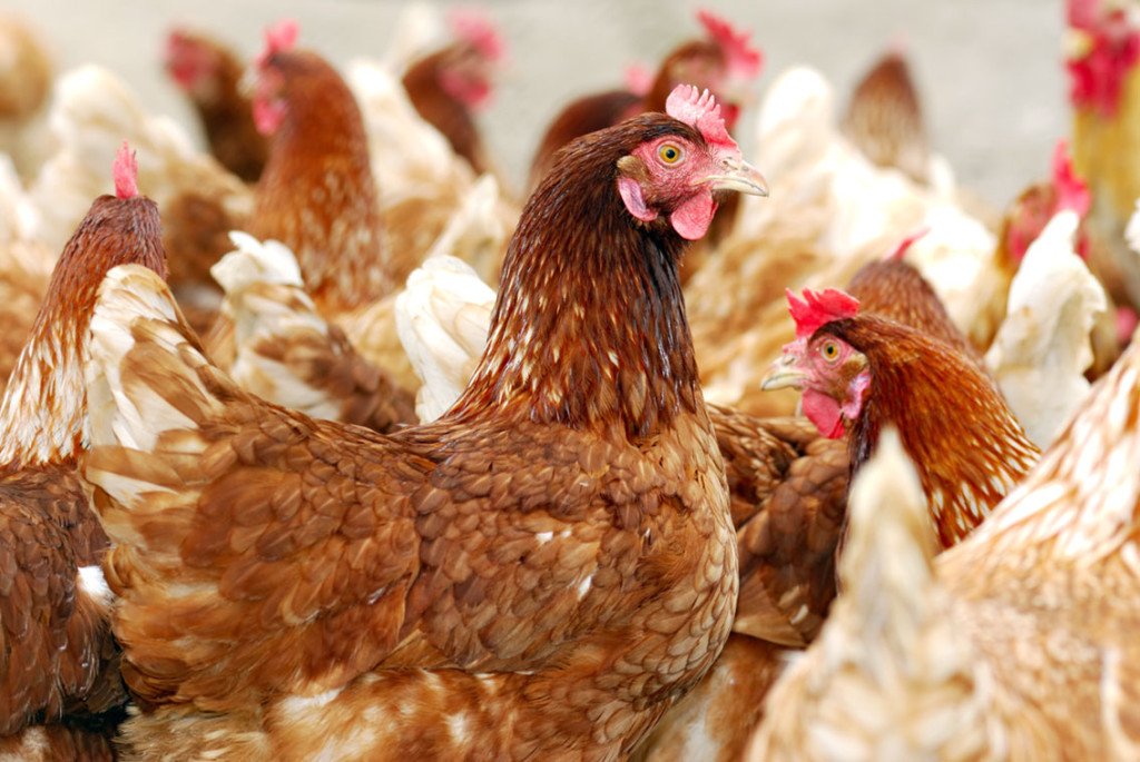 Illustrasjonsfoto: Freder/iStock