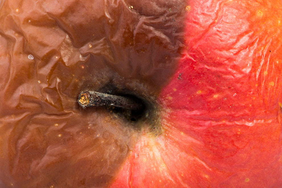 Illustrasjonsfoto: deyangeorgiev / iStock