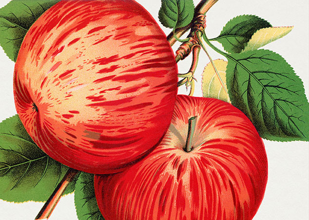 Illustrasjonsfoto: CC0 / Tilpasset av Tidsskriftet.