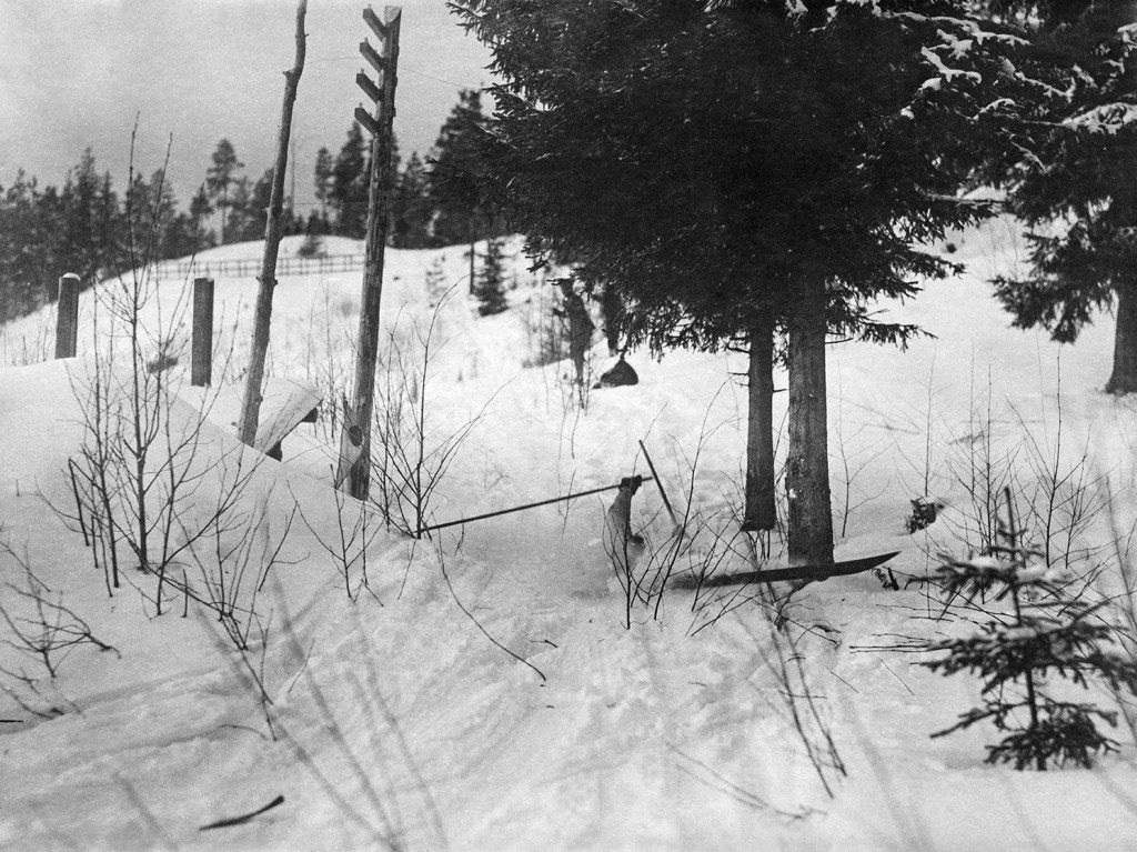 Figure 2 Matti Raivio fell into a wolf trap when competing in the 50-kilometre race in Lahti in 1926, but got back on his&hellip;