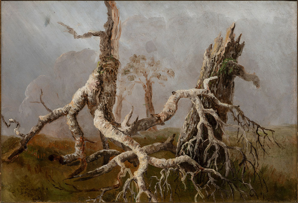 Utd&oslash;ende skog (1845&ndash;52), August Cappelen (1827&ndash;52). Foto: Dag Fosse / Kode. Digitalt Museum (CC BY-NC-ND).