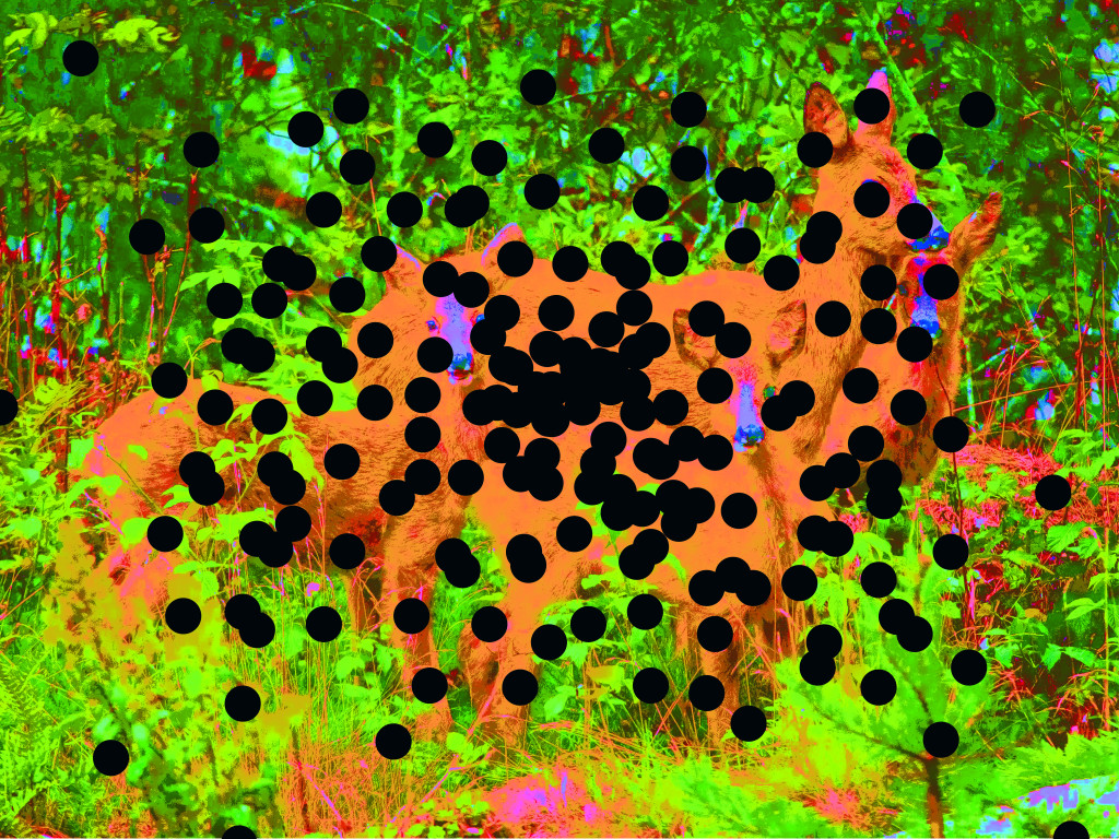 Illustrasjon: Tidsskriftet