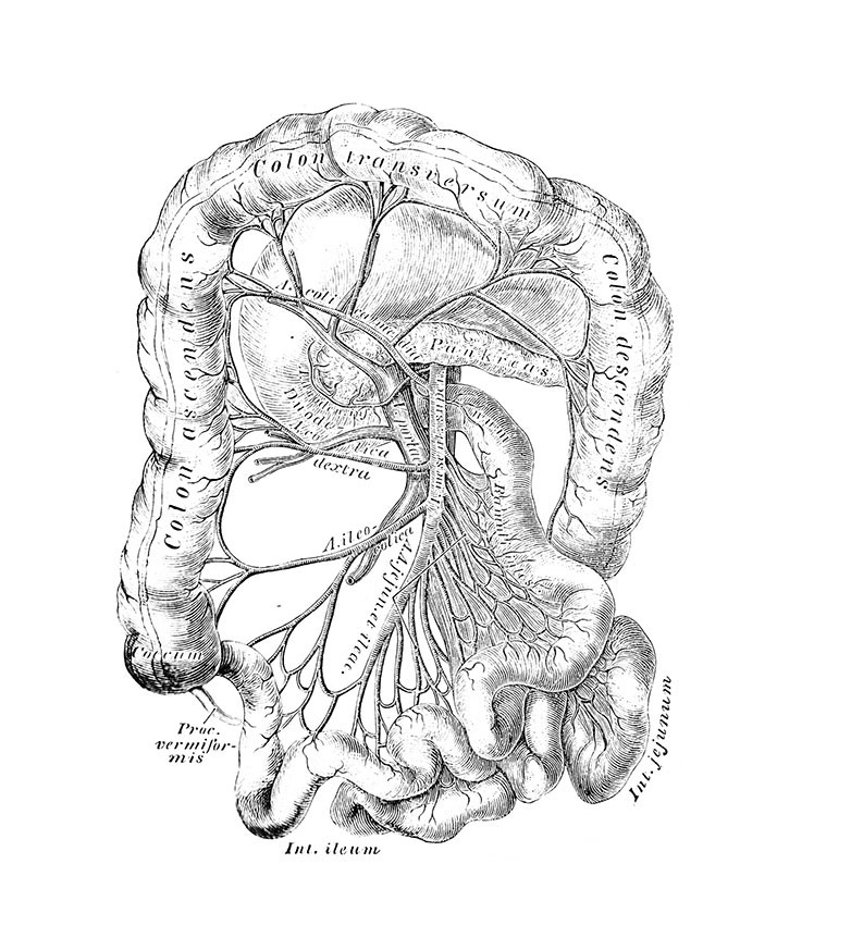 Illustrasjon: Vladi333/iStock