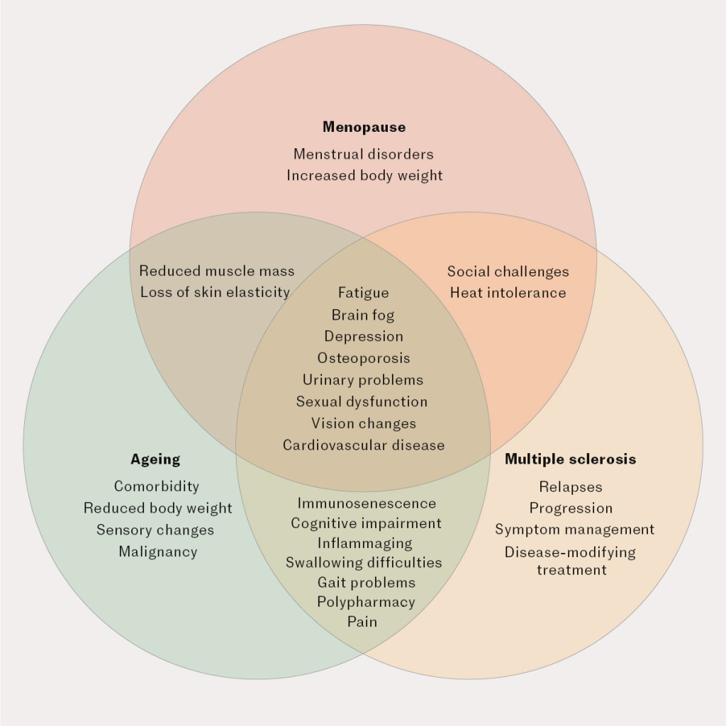 Figure 1 The association between multiple sclerosis, ageing and menopause, modified from Bove et al. (8). Inflammaging = a&hellip;