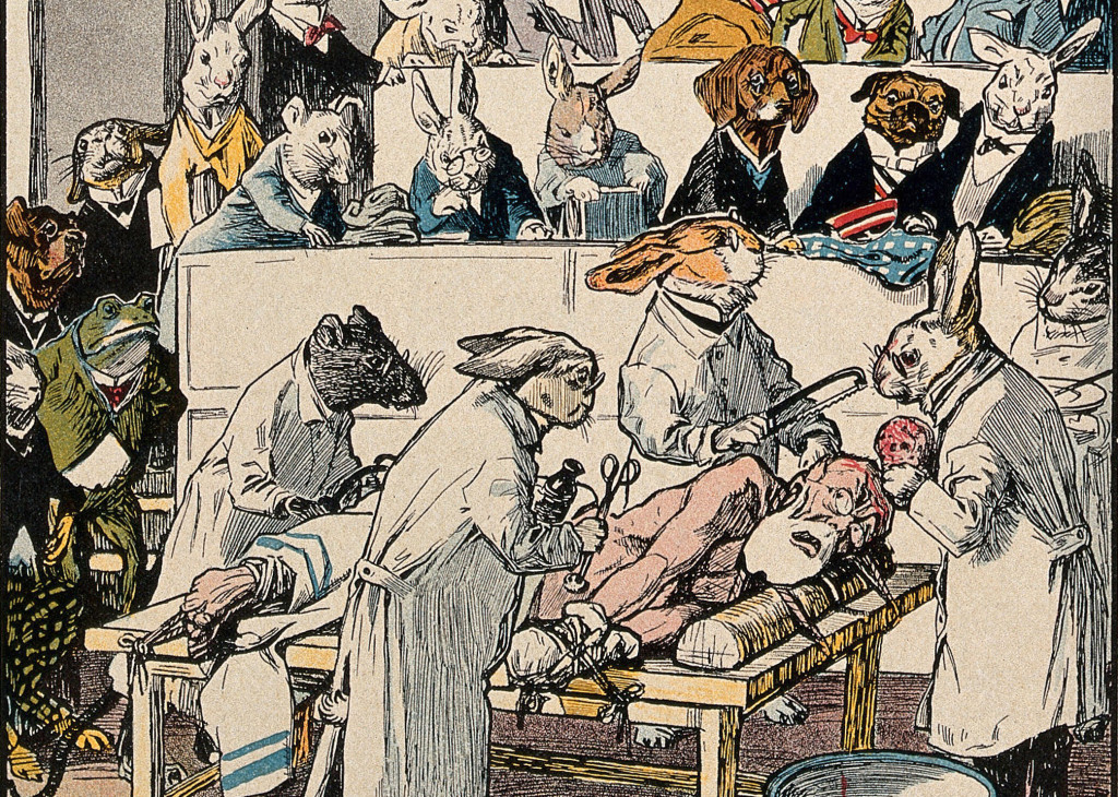 Illustrasjon: Litografi, ca 1910. Wellcome Collection / CC BY 4.0. Tilpasset av Tidsskriftet