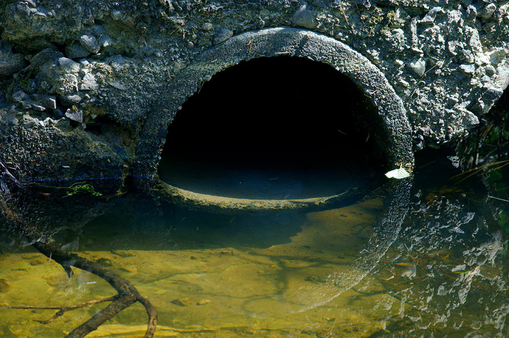 Foto: Birna R&oslash;rslett / NTB