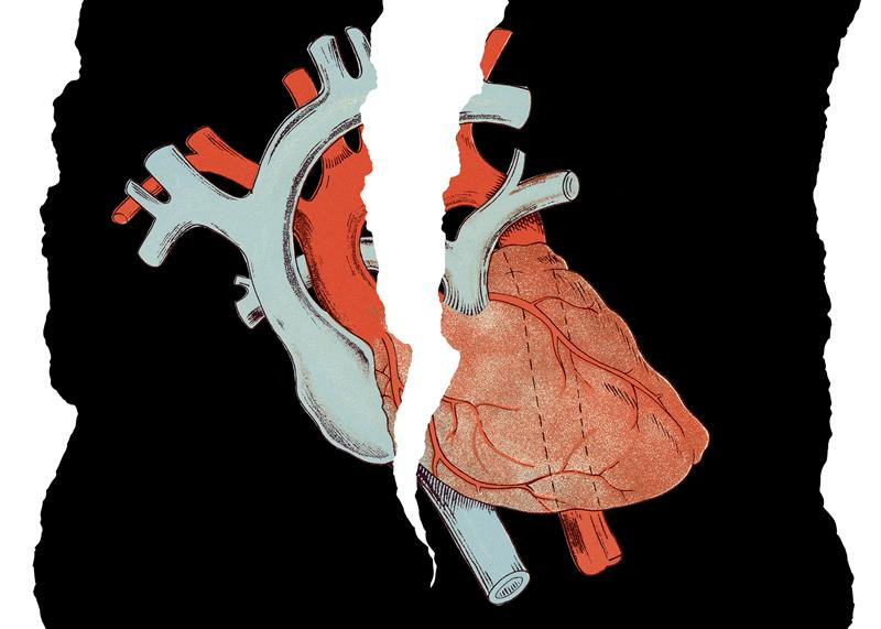 Illustrasjon: CSA Images / iStock. Tilpasset av Tidsskriftet.