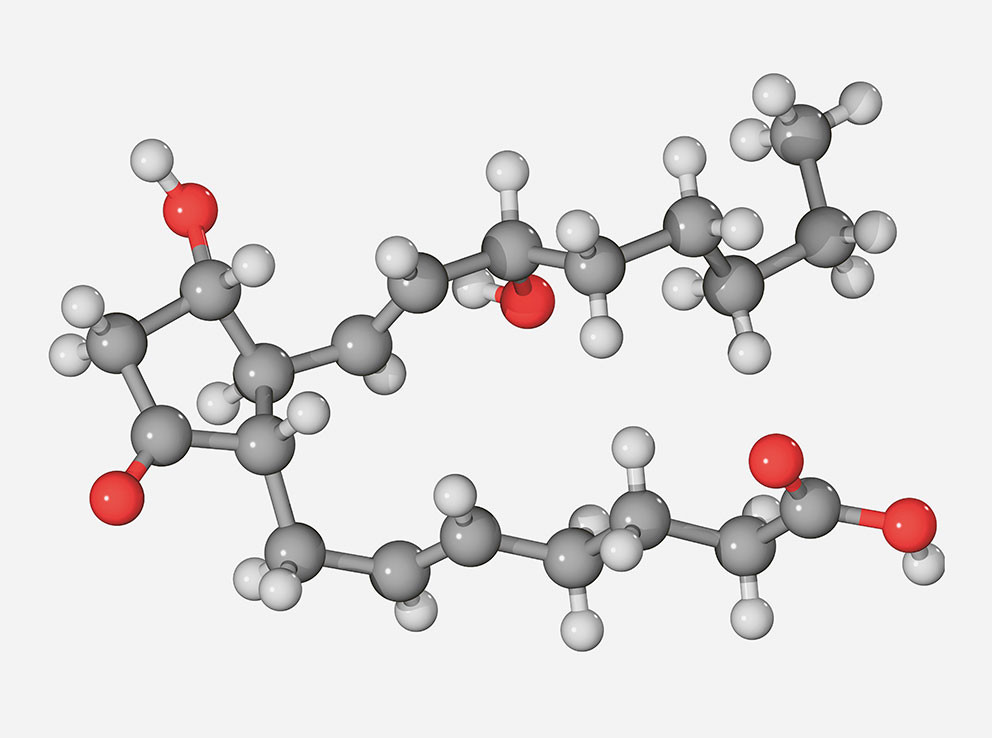 Prostaglandin E₂ molekyl. Illustrasjon: Science Photo Library / NTB. Tilpasset av Tidsskriftet
